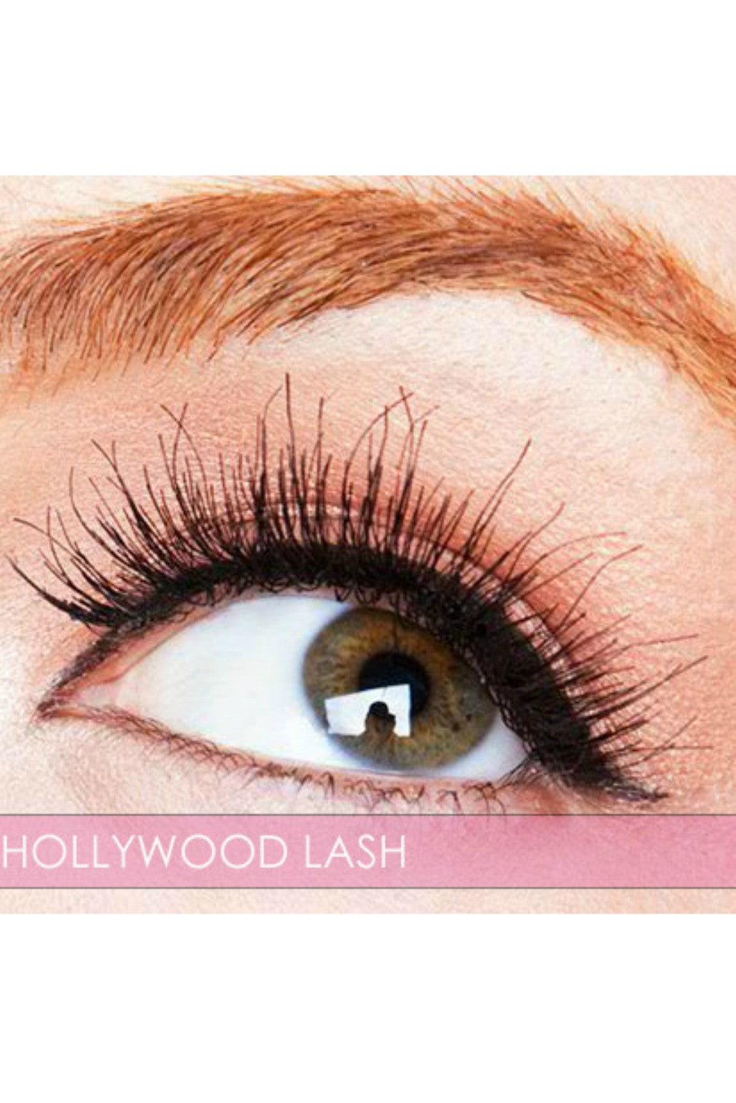 Nashville LASH