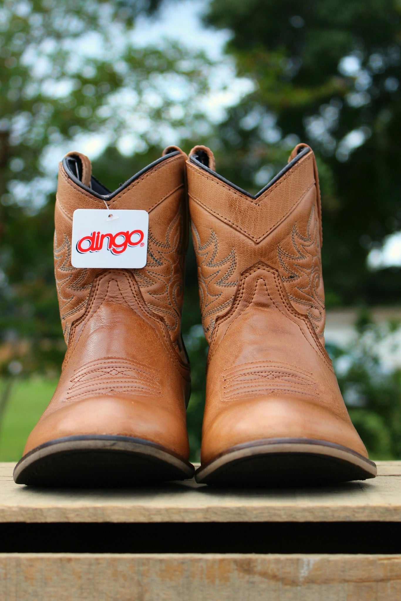 Dingo: Willie Boots, Brown - Elise