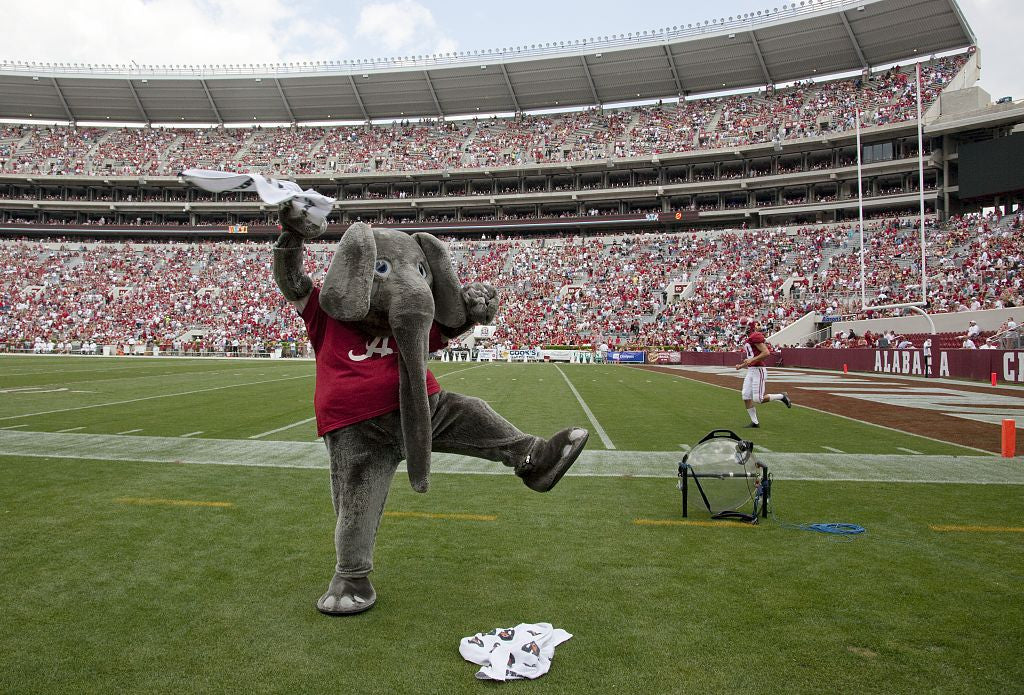 Since The 1930s Big Al The Alabama Crimson Tide Football Team Mascot Has Cheered The Team To Victory At The University Of Alabama Tuscaloosa Alabama