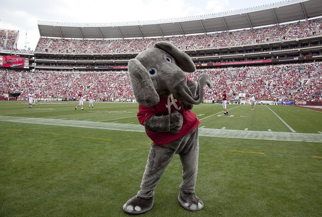 Since The 1930s Big Al The Alabama Crimson Tide Football Team Mascot Has Cheered The Team To Victory At The University Of Alabama Tuscaloosa Alabama