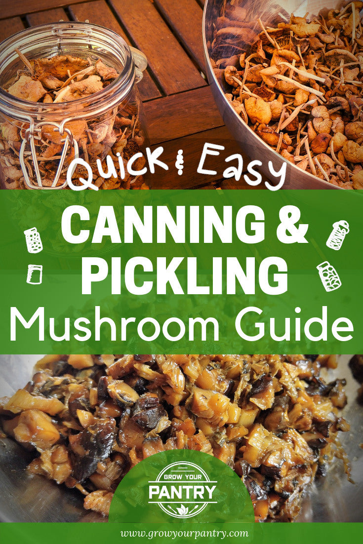 pickling_and_canning_mushrooms_infographic