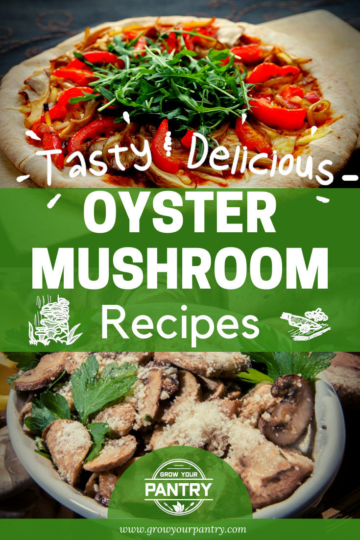 oyster_mushroom_recipes