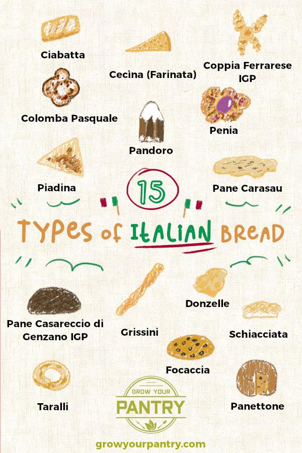 15_types_of_italian_bread_illustrations