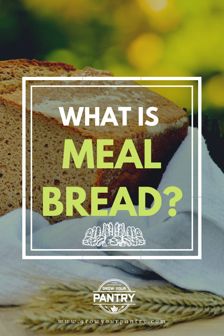 what_is_meal_bread_infographic