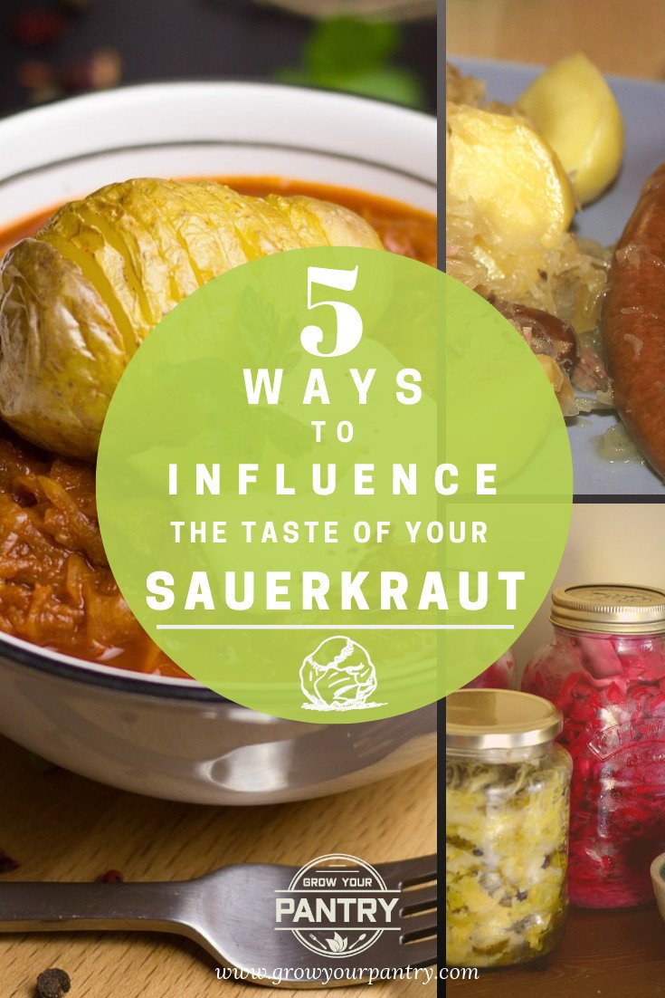 5_ways_to_change_sauerkraut_taste_infographic