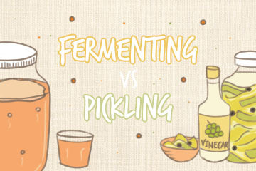 fermenting_vs_pickling_illustrations