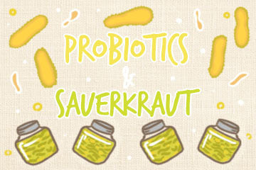 probiotics_and_sauerkraut_illustration