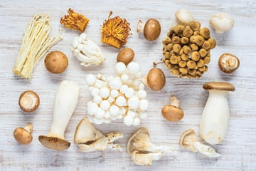 mushrooms_varieties