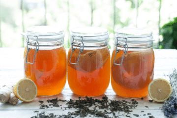 kombucha_varieties