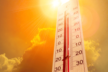 thermometer
