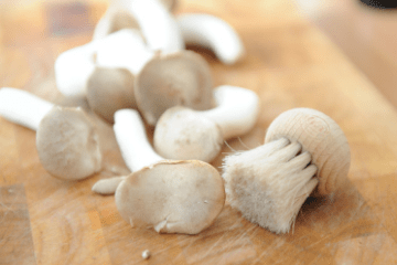 mushrooms_and_mushroom_brush