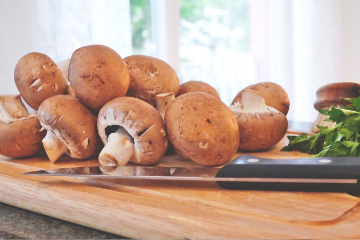 Opinel Mushroom Hunting Knife, Stainless Steel, Beech Wood, Boar's Hair  Bristles. on Food52