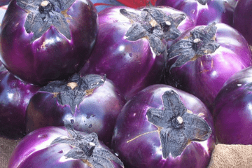prospera_eggplant