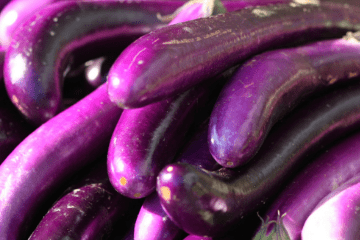Onaga_eggplant