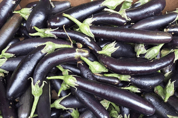 orient_express_eggplant