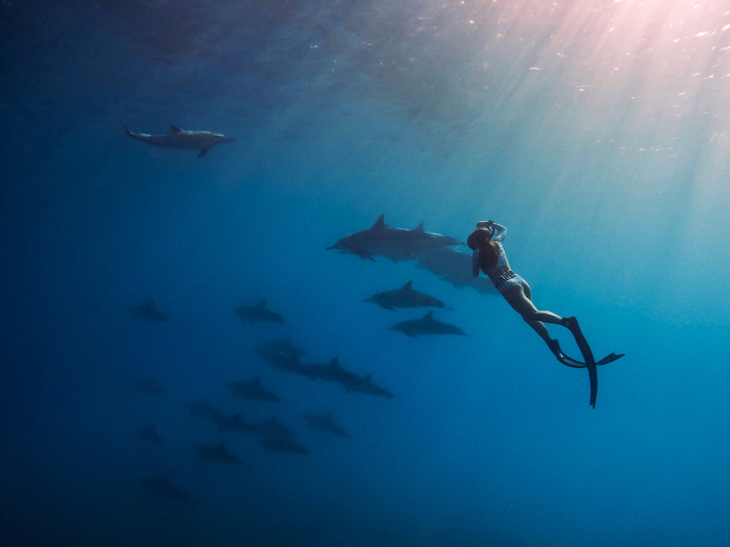 salty woman photographer shooting marine life while wearing recycled eagle ray swimwear