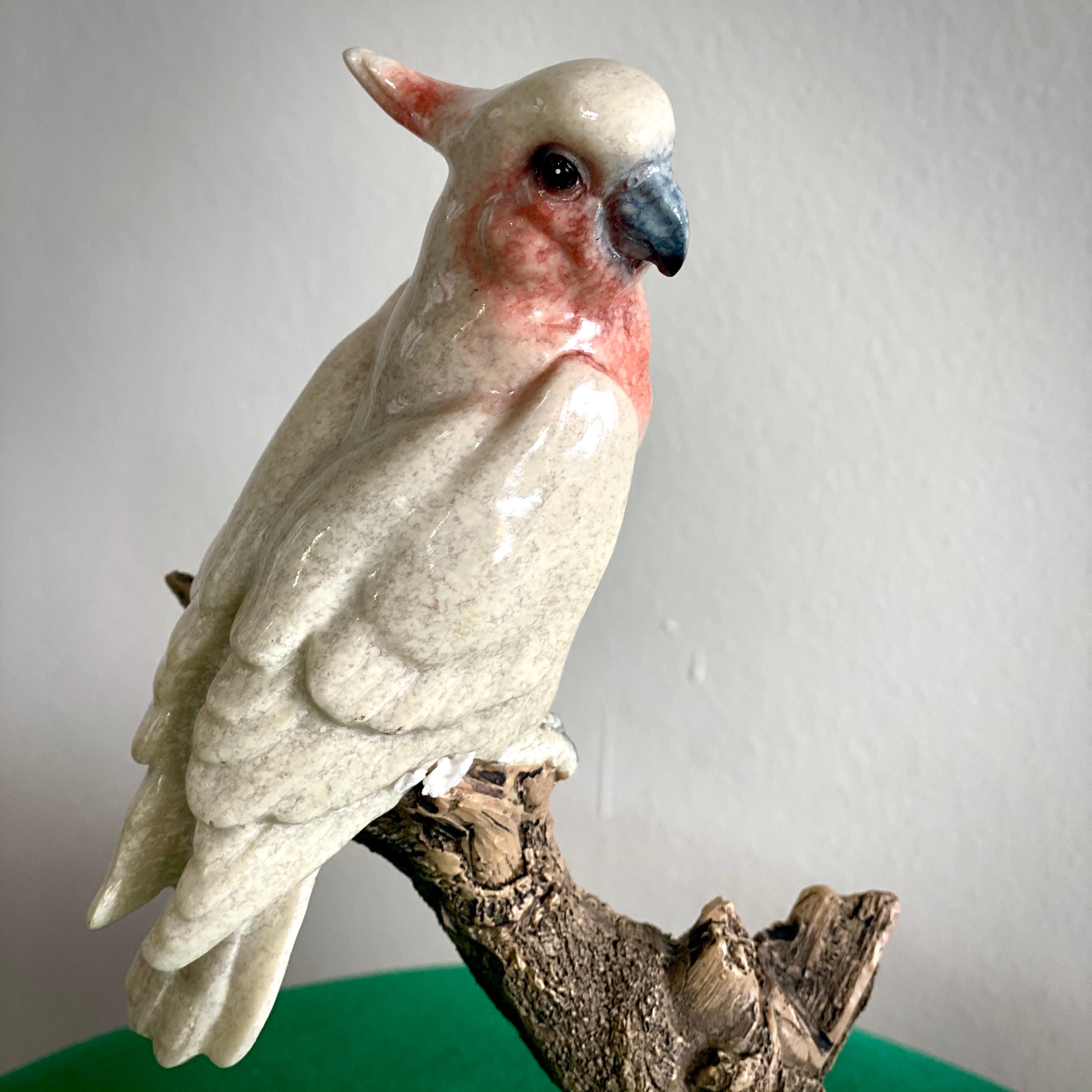 pink cockatoo for sale