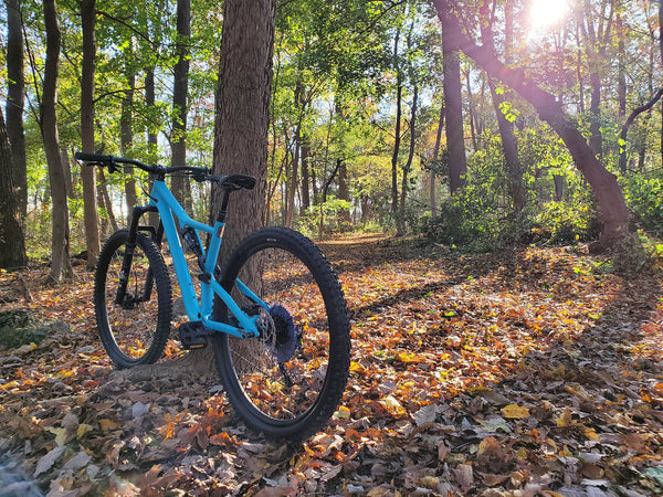 Mountain Bike Rack - MTB Trail