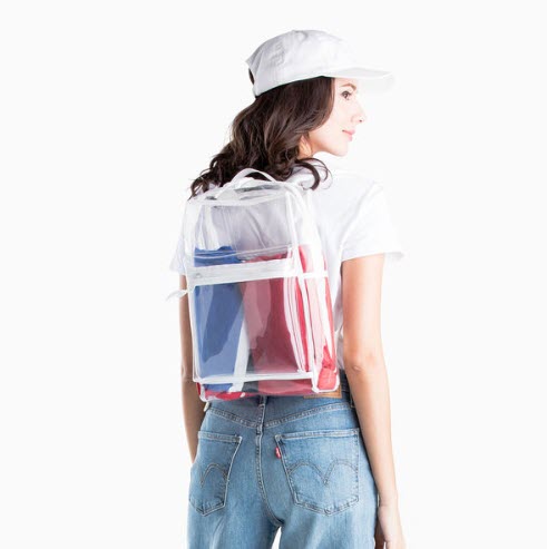 levis transparent backpack