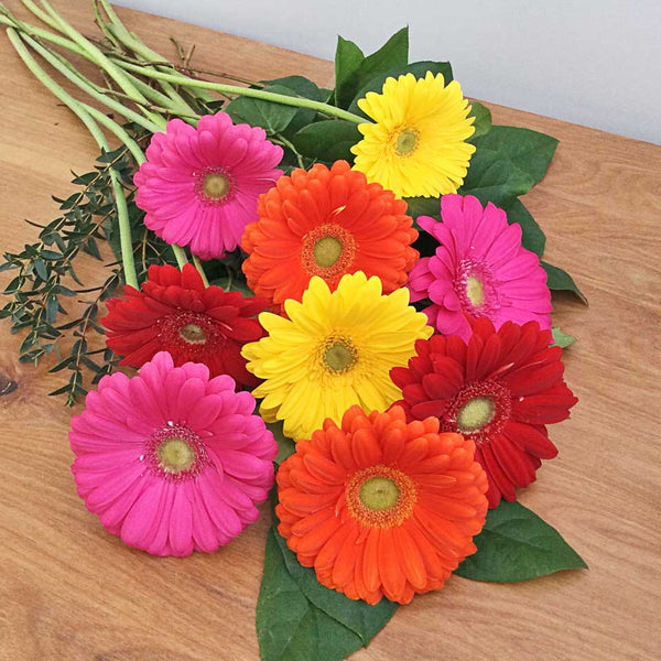 Gerbera Daisy Bouquet