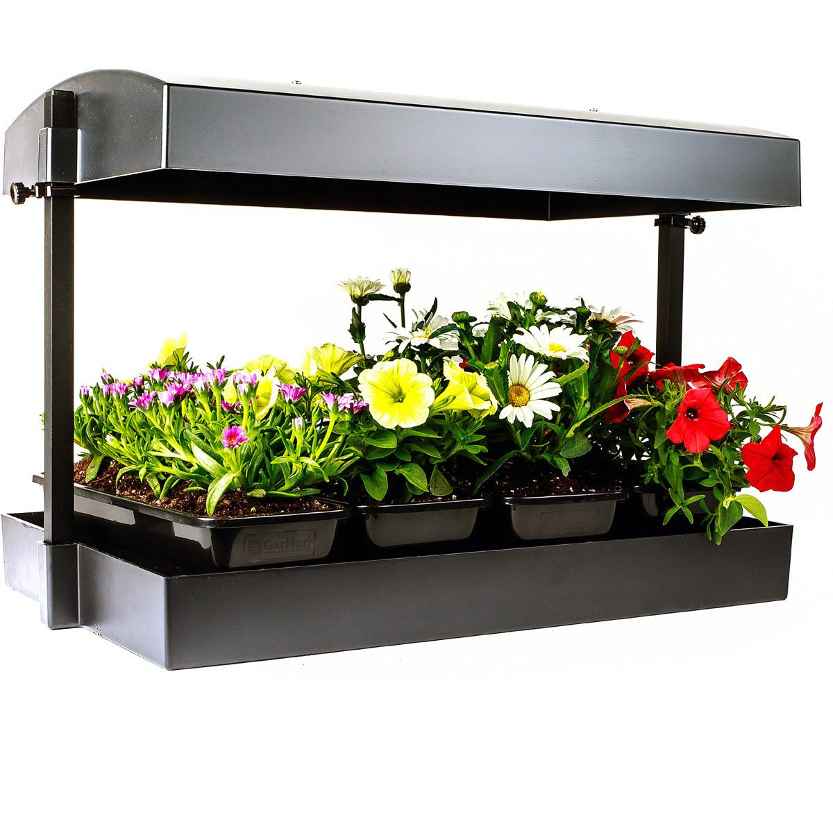 Sunblaster T5 Grow Light Garden, Black