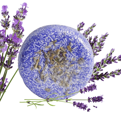 LUCIO Hard shampoo with lavender and rosemary Lavender shampoo bar - AurelijosSPA