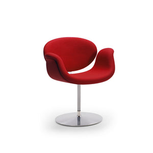 diep Picknicken Onafhankelijk Little Tulip Chair – M2L Furniture