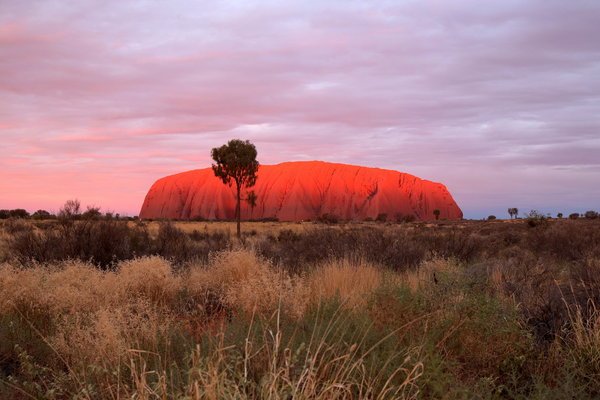 PaperKrane at Uluru