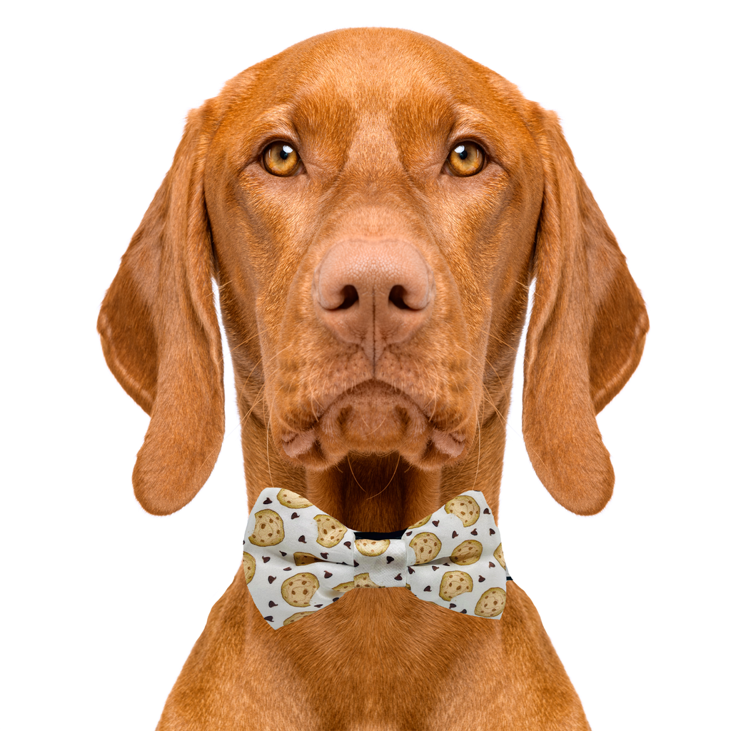 Pirate Dog Bow Tie 