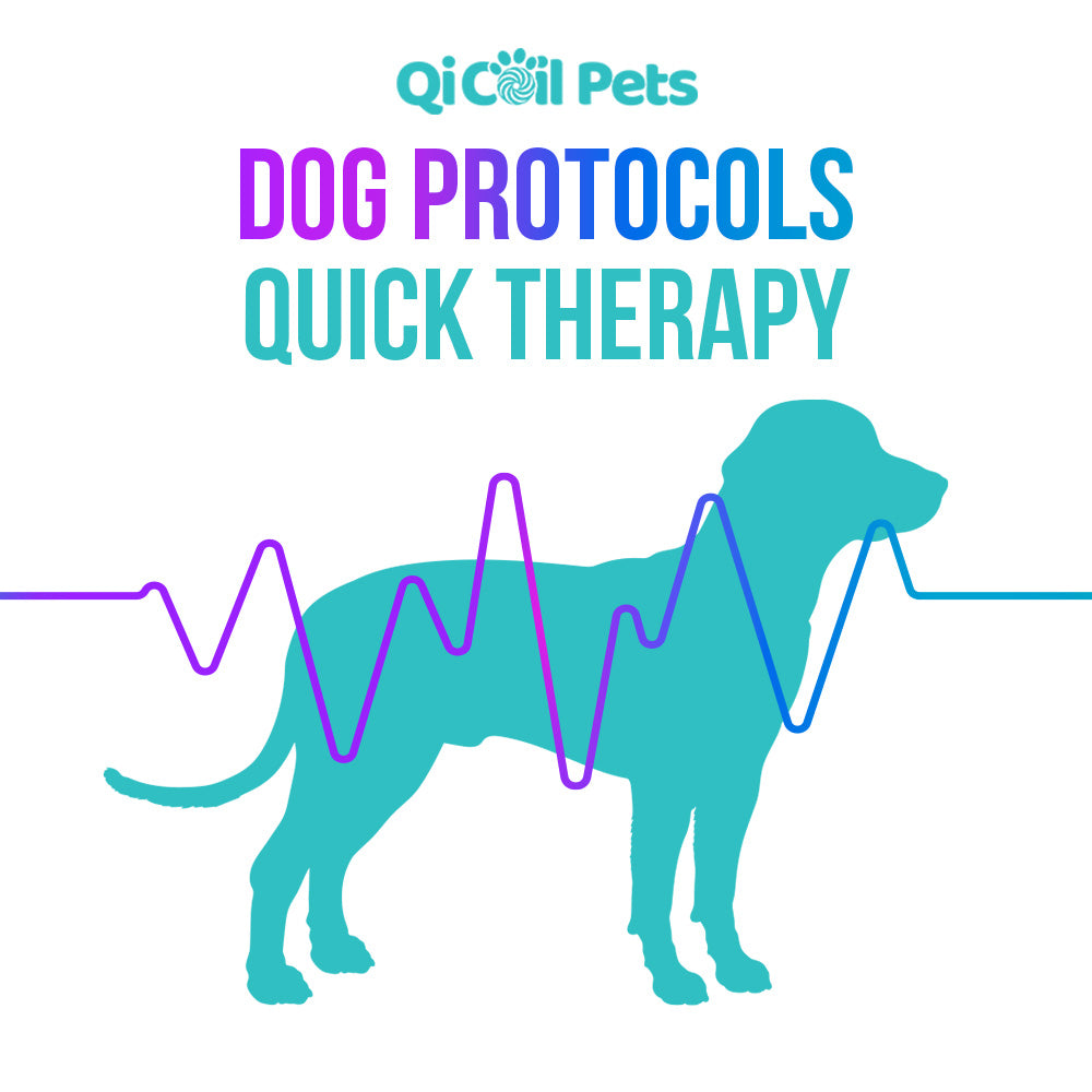 DOG_PROTOCOLS_QUICK