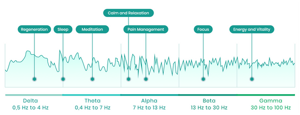 qilifestore brain frequency