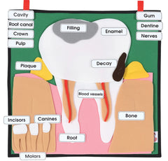 Big Tooth Fabric Display