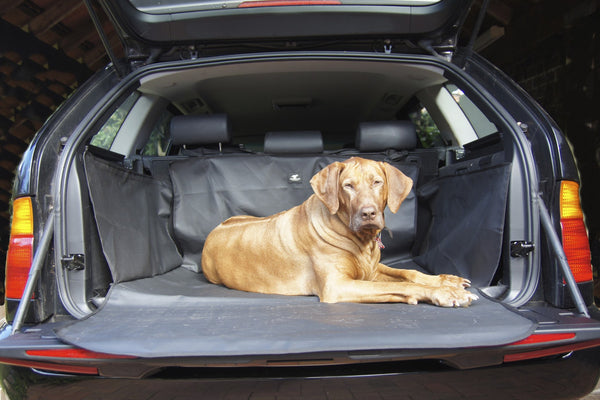 dog protector for car boot