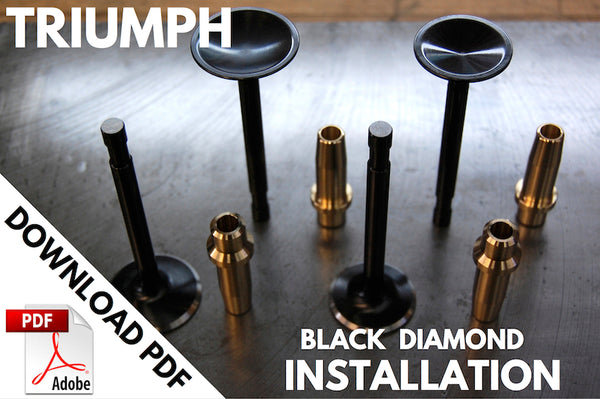 Black Diamond Triumph valve installation