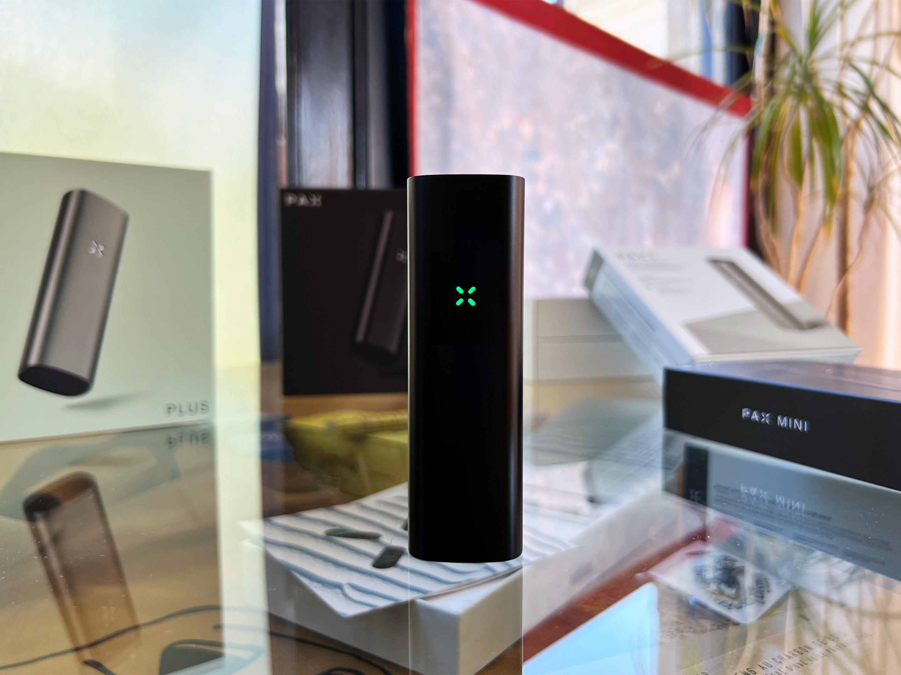 Review: Pax Plus Versus Pax Mini, Which Vape Is Right For You