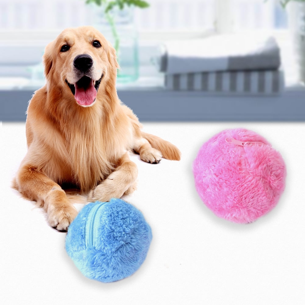 active rolling ball for dogs