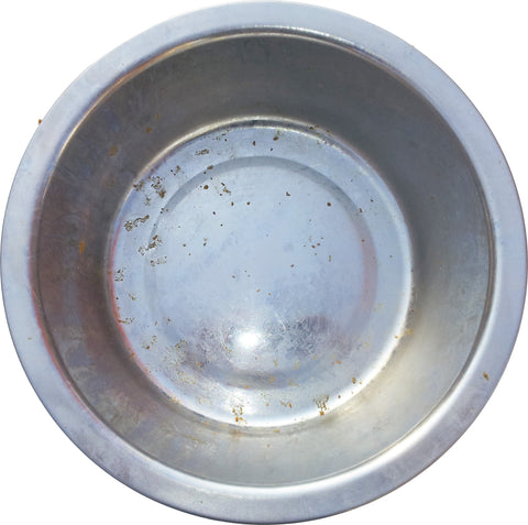 Dirty Contaminated Dog Bowl