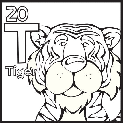 The Animal Alphabet Table Coloring Poster Angry Squirrel