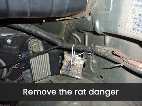 Rat Repellent