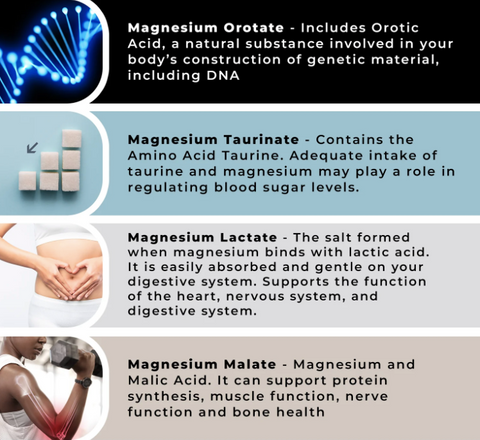the first types of magnesium in our supplements