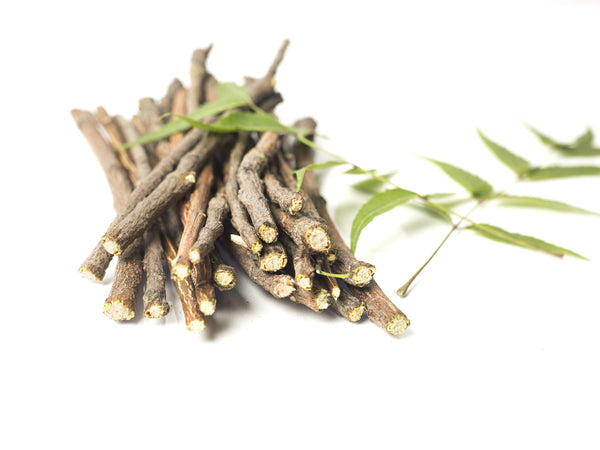 ayurveda herbs - benefits of ashwagandha