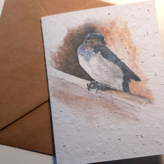 Barn swallow fledgling greeting card on seed plantable seed paper