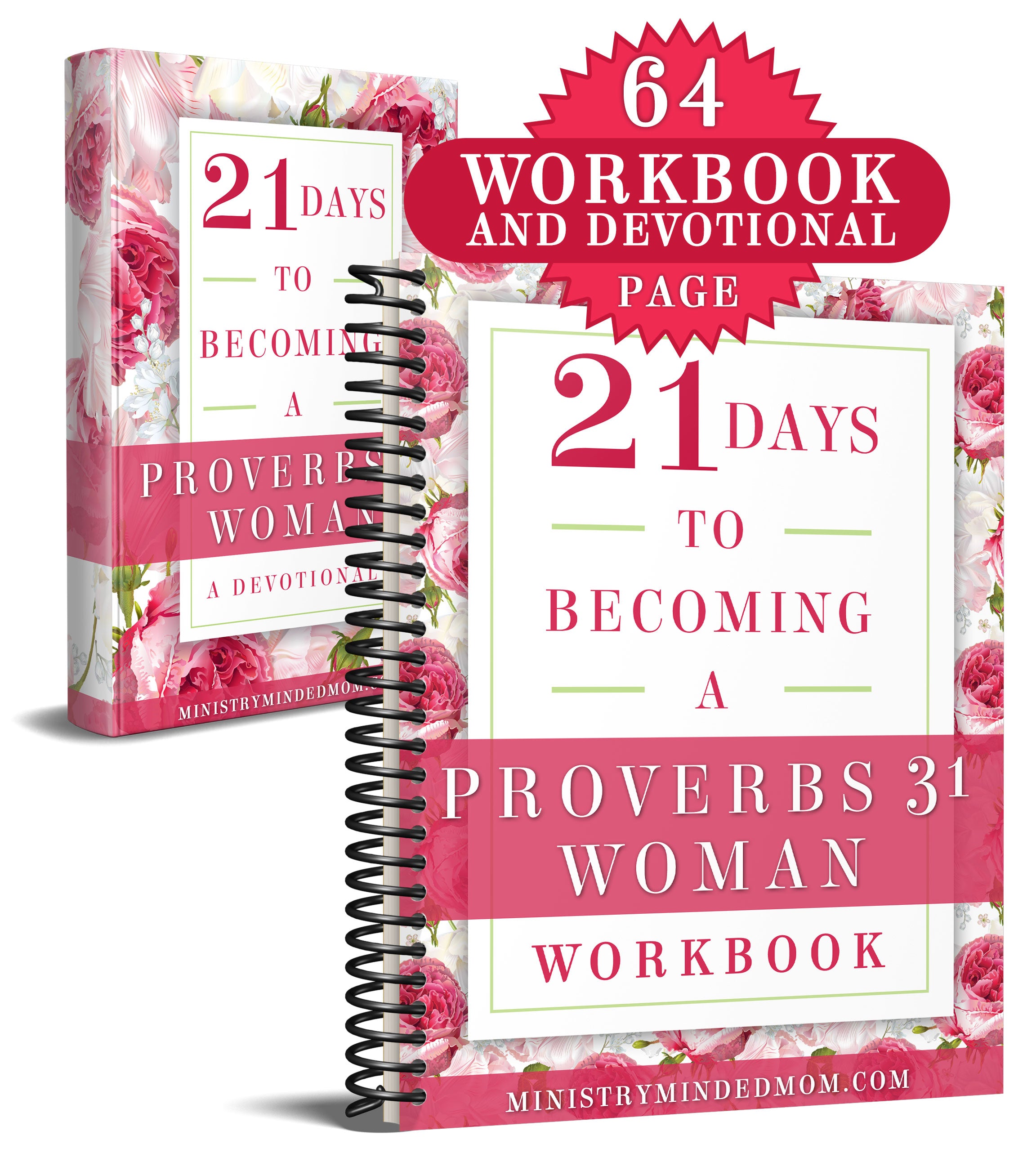 proverbs 31 bible study book