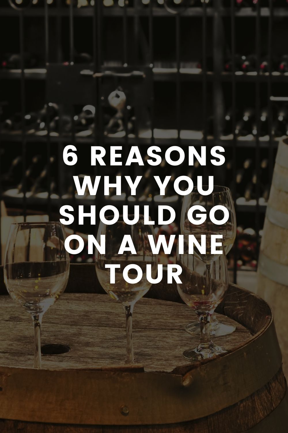 6 Reasons Why You Should Go on a Wine Tour