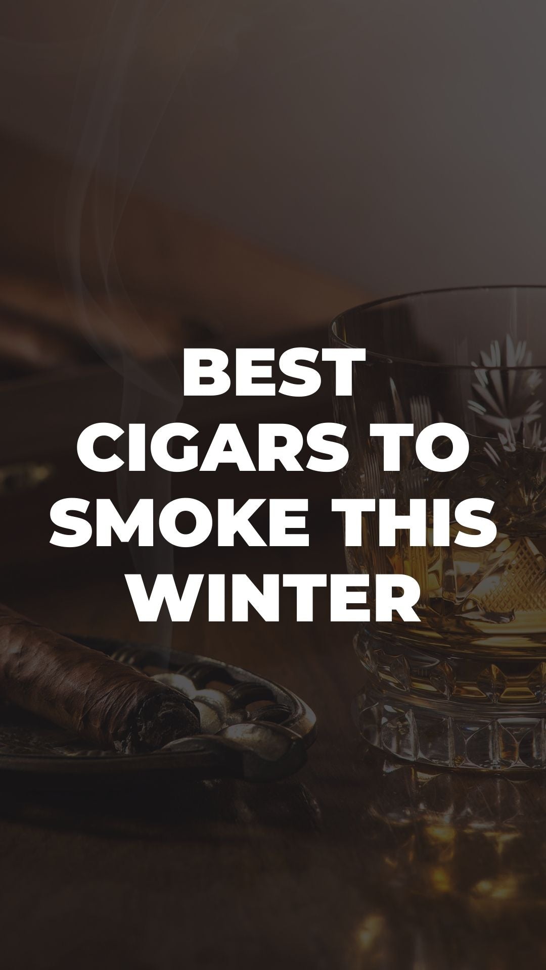 Best Cigars to Smoke This Winter