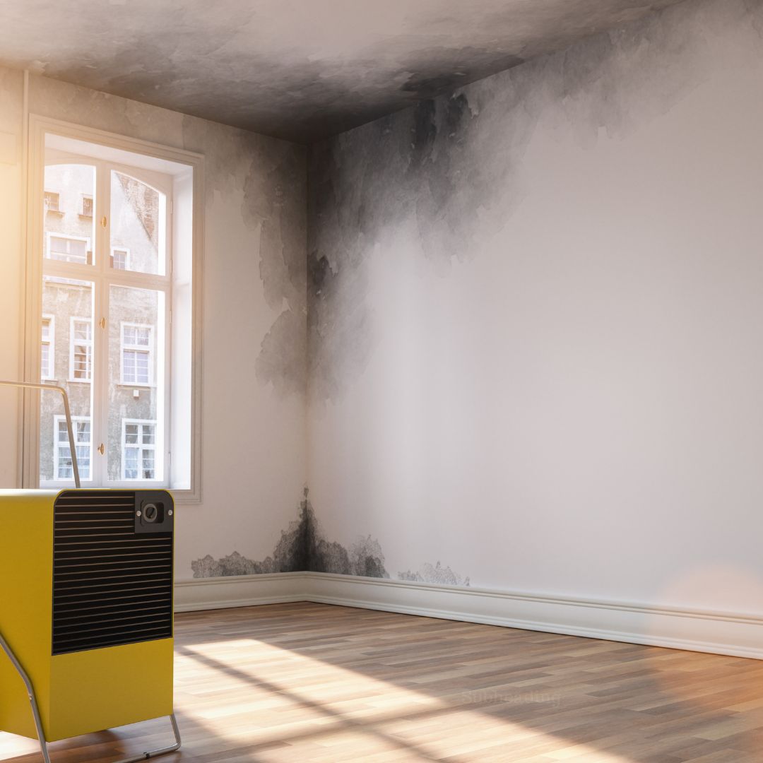 Health Risks of Damp and Mould