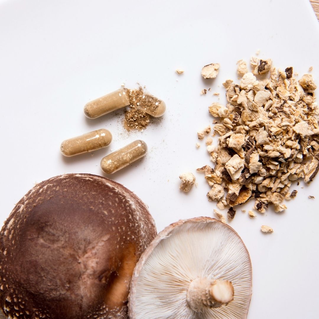 Mushroom Supplements 