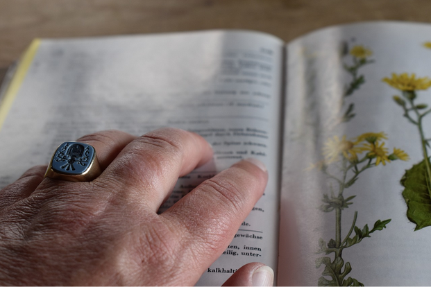 Men's Signet Rings