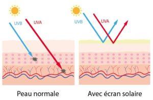 role of sunscreen