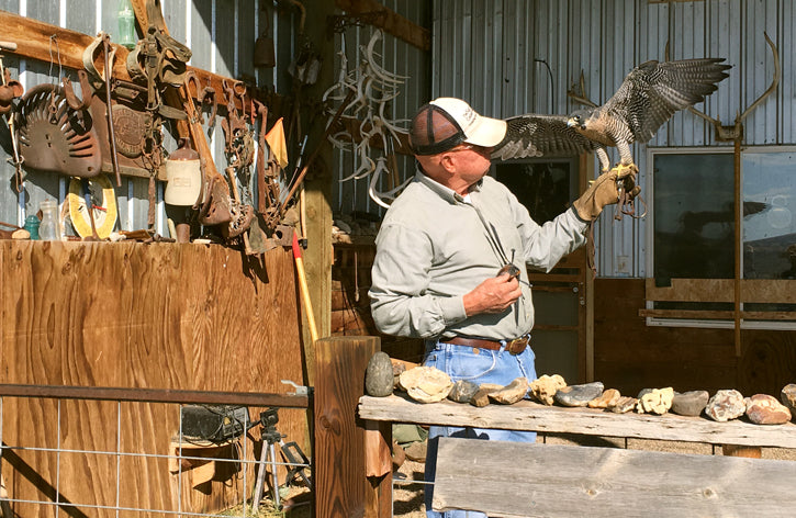 dan with a falcon